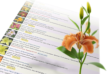 browse
